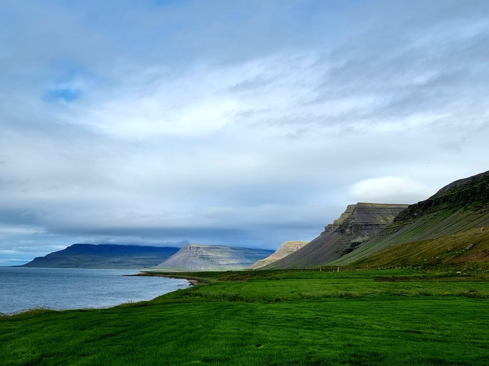 Skały nad wybrzeżem i zieloną trawą na fiordzie Westfjords - Islandia ukryta