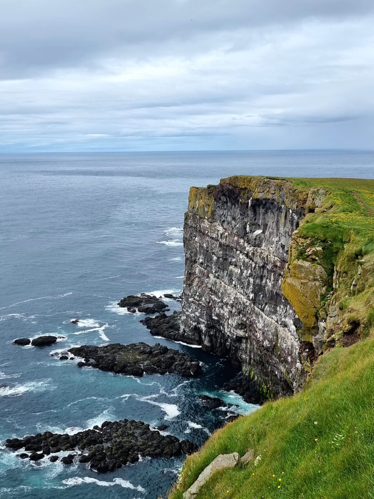 Klif Bjargtangar spieniony ocean czarne skały gniazda ptasie Westfjords - Islandia poza głównymi szlakami